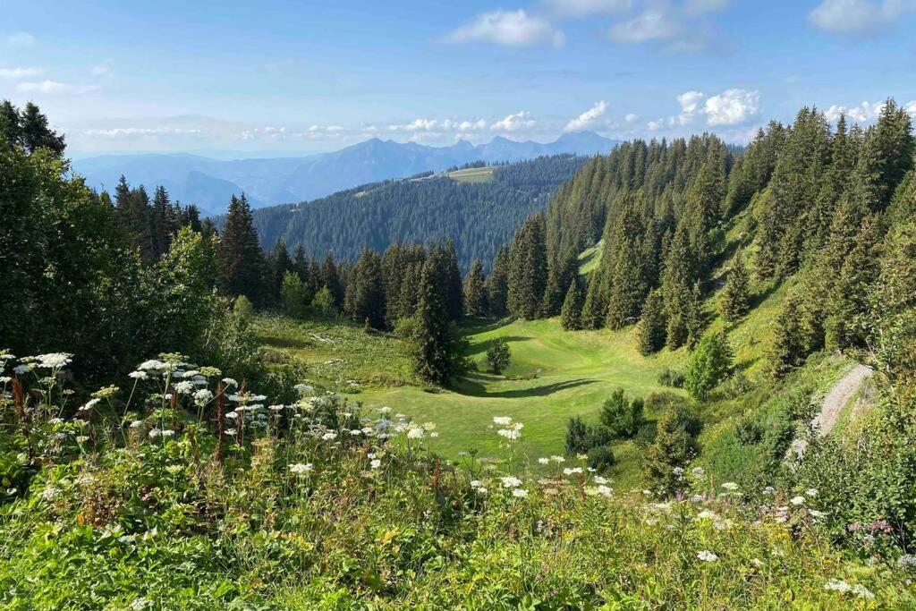 Vue Panoramique Sur Les Montagnes Plein Sud - T2 Skis Aux Pieds, Piscine & Apartment Flaine