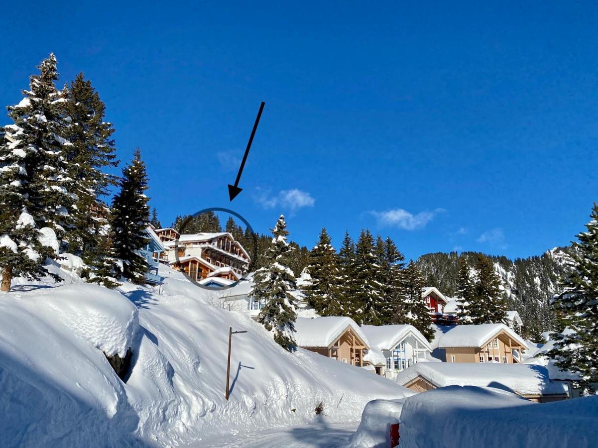 Vue Panoramique Sur Les Montagnes Plein Sud - T2 Skis Aux Pieds, Piscine & * Flaine